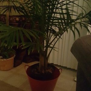 Meet your Posher, Beatrice